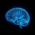 The black backdrop enhances the visual impact and focus on the brain model Royalty Free Stock Photo