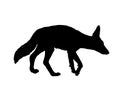 Black backed Jackal vector silhouette.