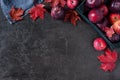 Black background with autumn red apples and leaves Royalty Free Stock Photo