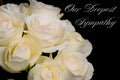 Deepest condolence white flowers on black background with text