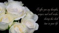 Deepest condolence white flowers on black background with text Royalty Free Stock Photo