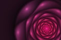 Black background with blurred pink and peach rose. Flower texture, fractal pattern. Marsala striped digital flower on purple back Royalty Free Stock Photo