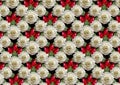 Black background of bouquet large white roses and red buds