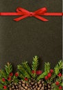 Black background with Christmas tree twigs, cones, berries and r Royalty Free Stock Photo