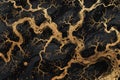 Black Background With Gold Swirls Royalty Free Stock Photo