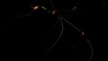 Black background with green and red lines. Design. Small illuminated animation circles move along thin stripes in the