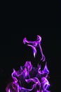 Black background image of purple fire forms
