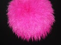 Abstract Pink Feather in Black Background Royalty Free Stock Photo