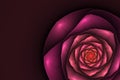 Black background with pink and orange rose in the corner. Flower Royalty Free Stock Photo