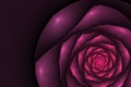 Black background with pink rose in the corner. Flower texture Royalty Free Stock Photo