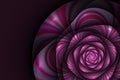 Black background with pink rose. Flower texture, fractal pattern Royalty Free Stock Photo