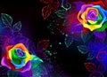 Black background with rainbow roses