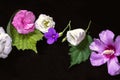 Raspberry Oleander On Leaves,white Lisianthus With Buds, Small Violets And Purple Hibiscus On A Black Background