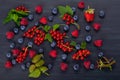 Black background with a set of red and blue berries with green leaves Royalty Free Stock Photo