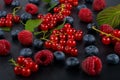 Black background with a set of red and blue berries with green leaves, raspberries and red currant Royalty Free Stock Photo