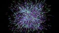 Black background with shiny multicolored abstraction . Motion . Lines of different sizes that fly like fireworks and