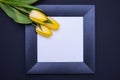 On a black background, there is a black frame with a white background and three yellow tulips lie on the left side in the upper Royalty Free Stock Photo