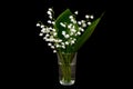 On a black background - a vase with white delicate lilies of the valley. Photo horizontal, soft focus, selective focus, low key.