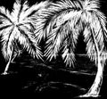 on a black background, a white graphic image of a tropical landscape with palm trees