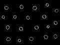 On a black background, white rings in a chaotic scatter