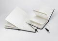 Black ballpoint pen lie in unfold large notebook  and open small notepad with blank new pages. White back Royalty Free Stock Photo