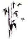 Black Bamboo