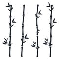 Black bamboo branches and leaves. Bamboo stems.