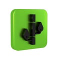 Black Bamboo icon isolated on transparent background. Green square button.