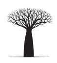 Black Baobab Tree with Roots. Vector outline Illustration. Plant in Garden Royalty Free Stock Photo