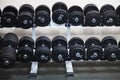 Black Barbells at the gym Royalty Free Stock Photo