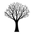Black bare tree silhouette on white background vector Royalty Free Stock Photo