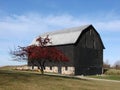 Black barn Royalty Free Stock Photo