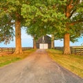 Black Barn with Big Trees Royalty Free Stock Photo