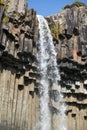 Black basalt columns and magnificent waterfall Svartifoss, Skaftafell national park, Iceland