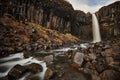 Black basalt volcanic column?Svartifoss waterfall.