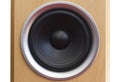 black bass speaker