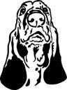 Black Basset Hound Vector Illustration set on white background Royalty Free Stock Photo