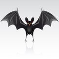 Black bat Royalty Free Stock Photo