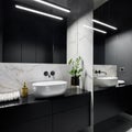 Black bathroom with mirror wall