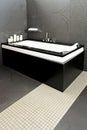 Black bathtub