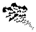 Black bats vector