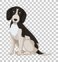 Black Beagle in sitting position cartoon character isolated on transparent background