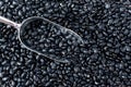 Black bean on background. top view. Black turtle beans are good for soup and stew. Fresh organic natural beans.