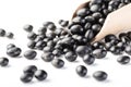 Black bean Royalty Free Stock Photo