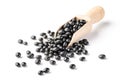 Black bean Royalty Free Stock Photo