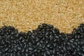 Black Beans and Brown rice Royalty Free Stock Photo