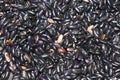 Black beans that can formate a background pattern