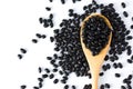 Black beans grain Royalty Free Stock Photo