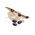 Black beans isolated on white background. Digital art illustration of adzuki bean Vigna angularis azuki or aduki, or red