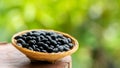 Black beans seeds on nature background Royalty Free Stock Photo